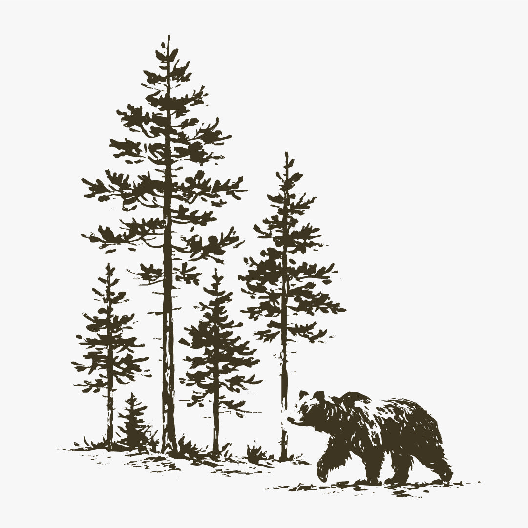 Bear in Pines