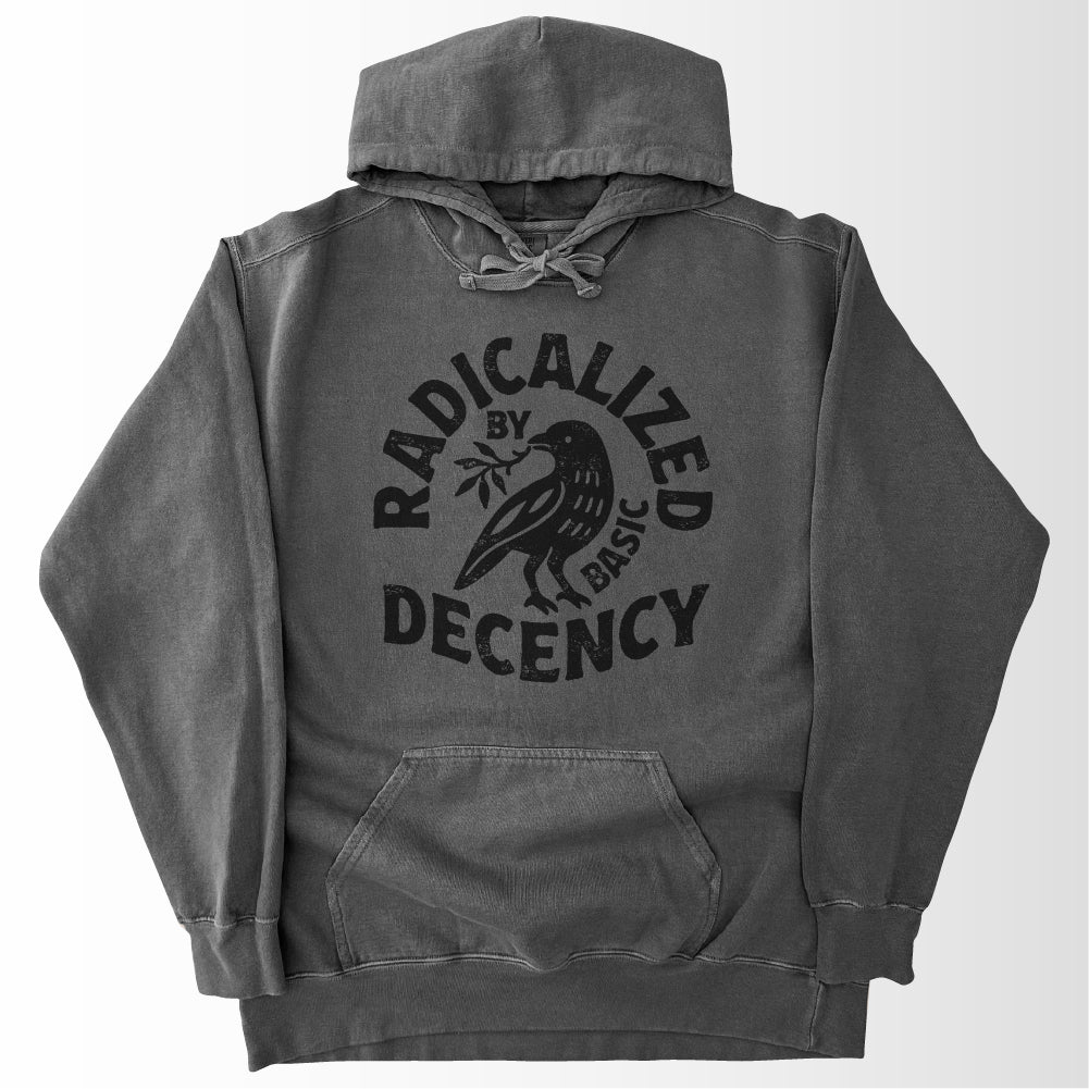 Radicalized by Basic Decency Hoodie