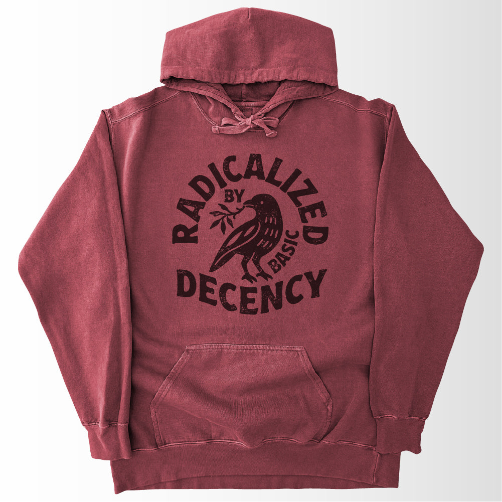 Radicalized by Basic Decency Hoodie