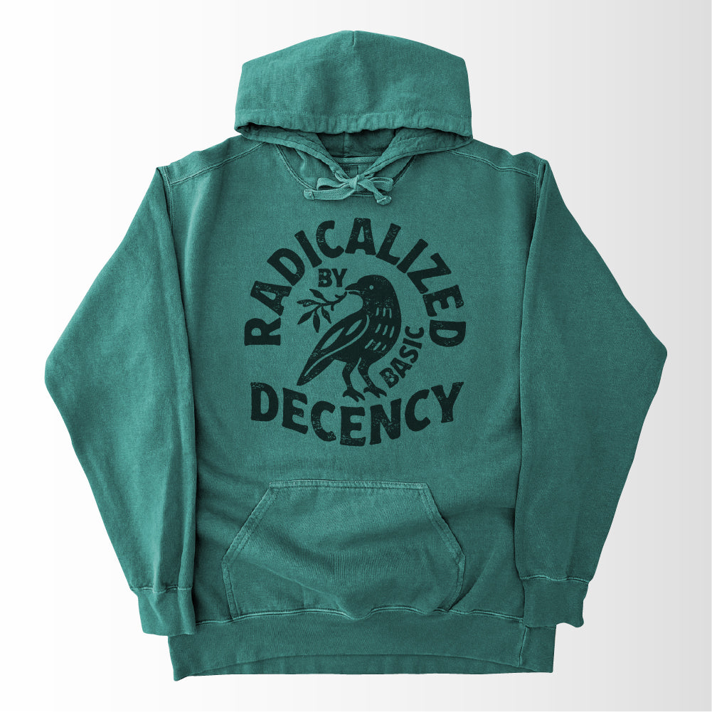 Radicalized by Basic Decency Hoodie