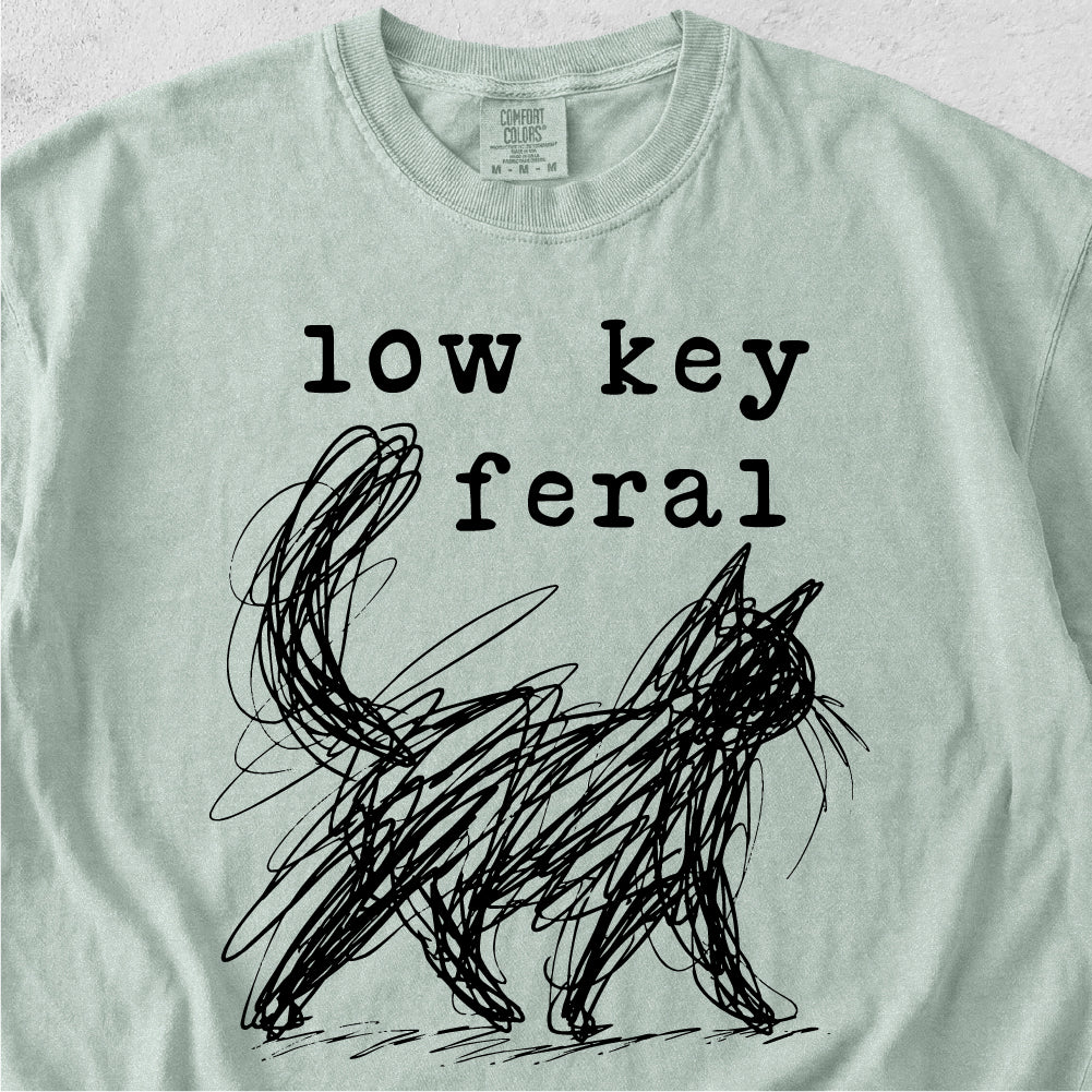 Low Key Feral Cat Tshirt