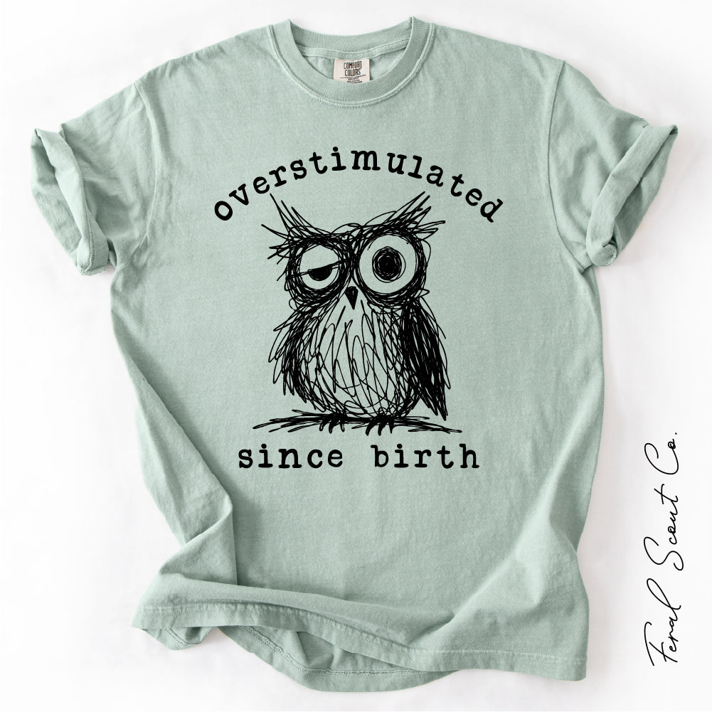 Overstimulated Owl Tshirt