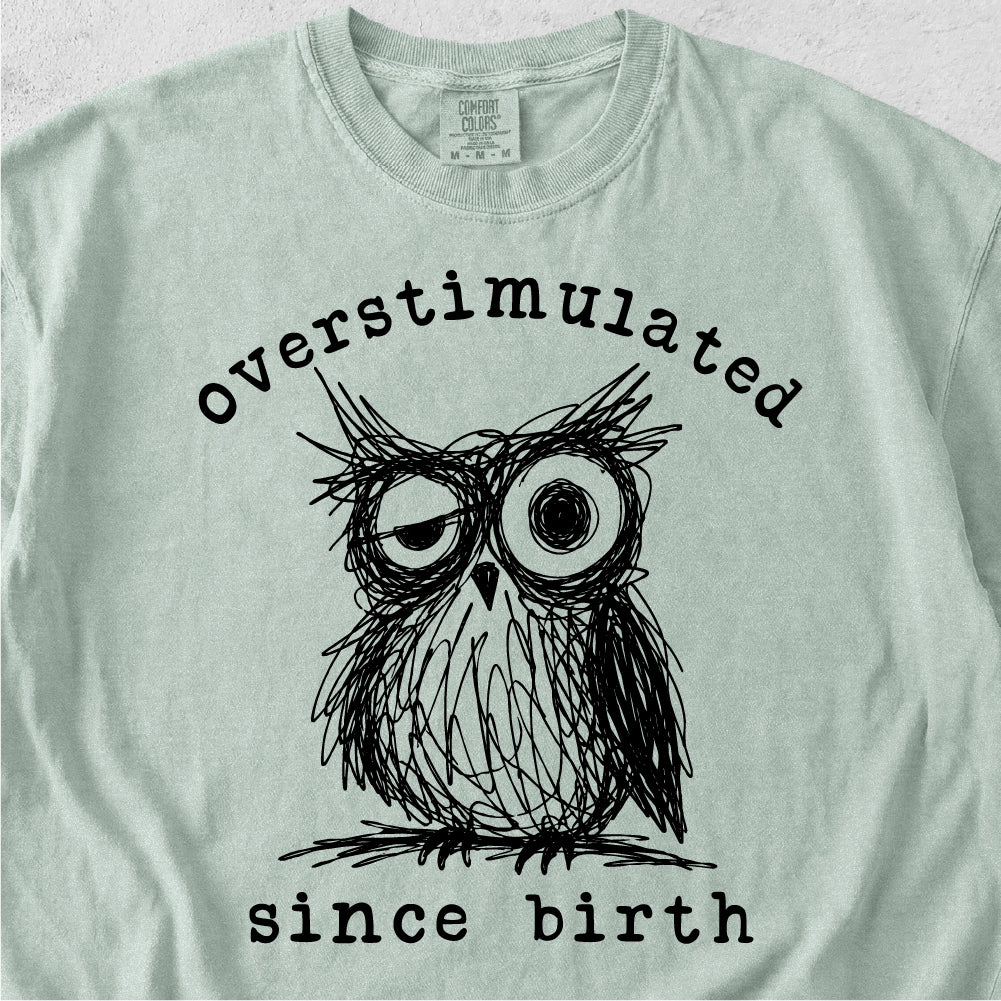 Overstimulated Owl Tshirt