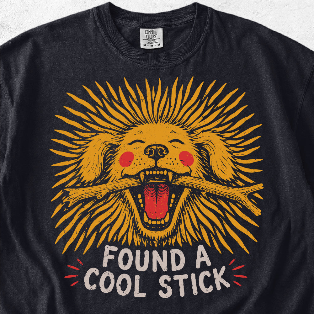Found A Cool Stick Dog Tshirt