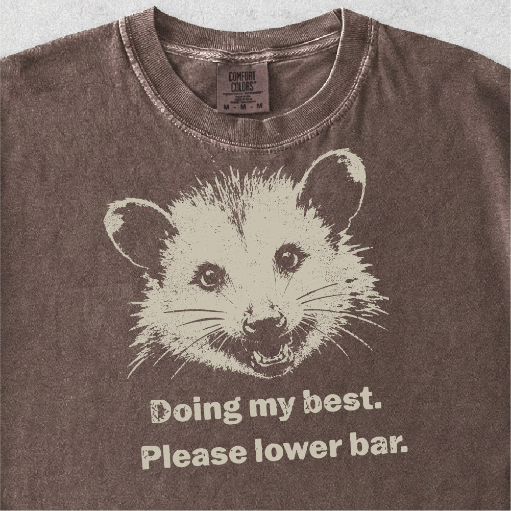 Doing My Best Possum Tshirt