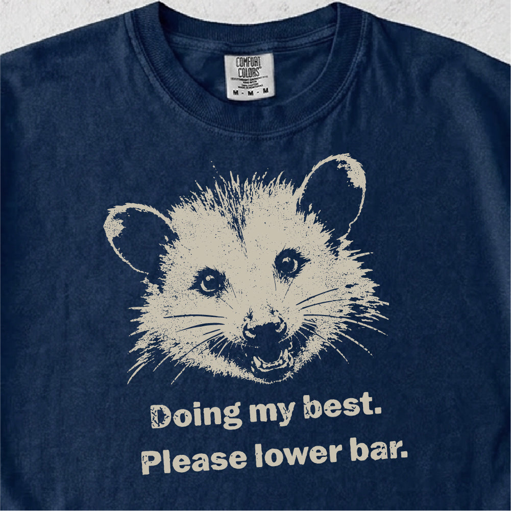 Doing My Best Possum Tshirt