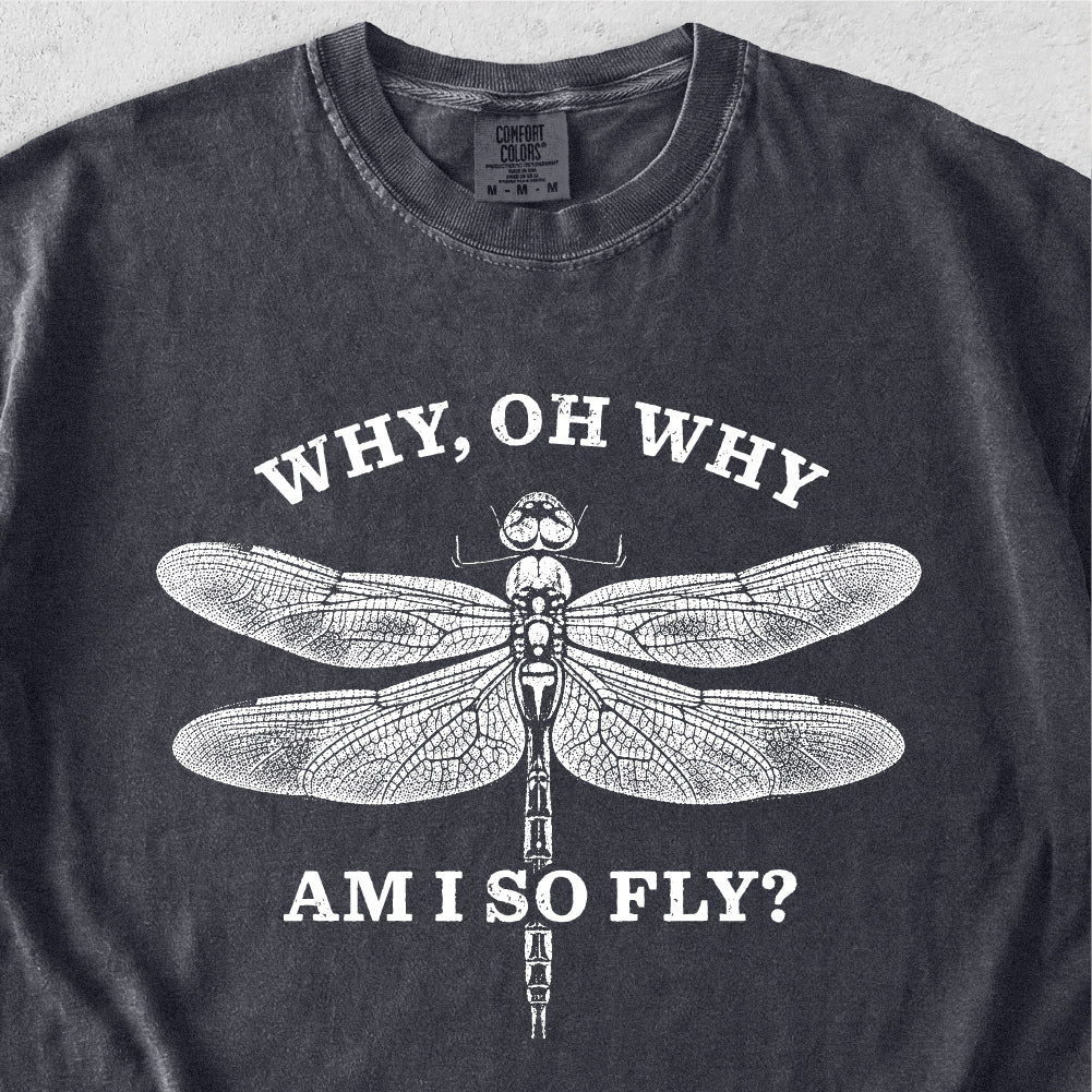 Why Am I So Fly Tshirt