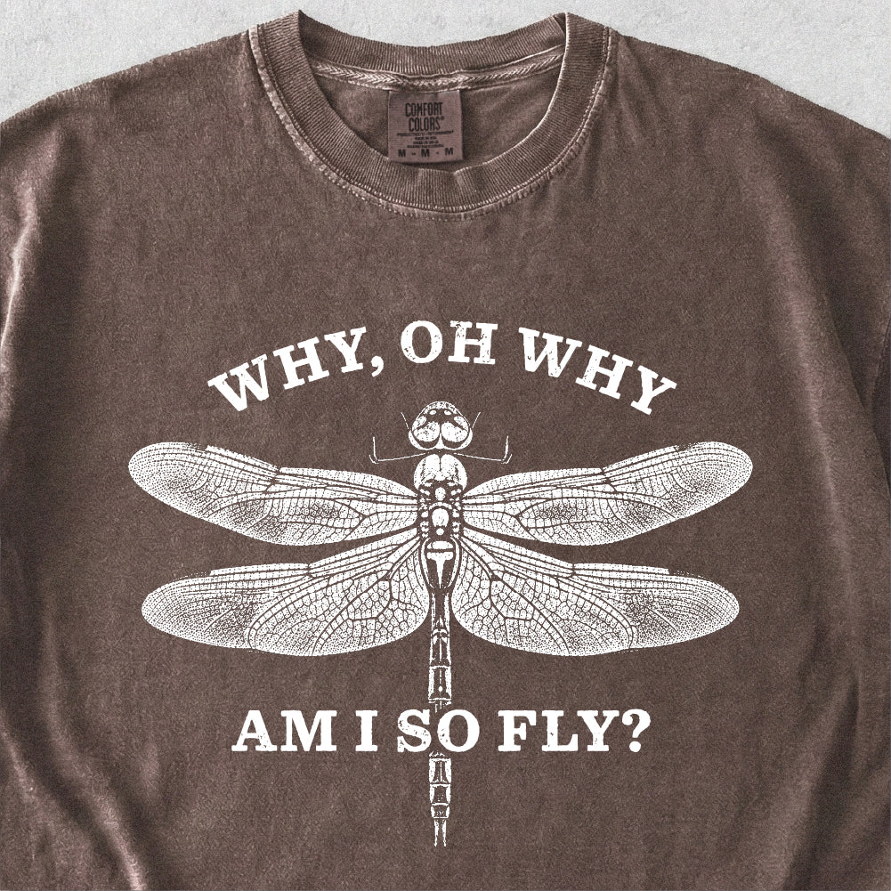 Why Am I So Fly Tshirt
