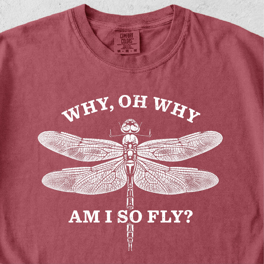 Why Am I So Fly Tshirt