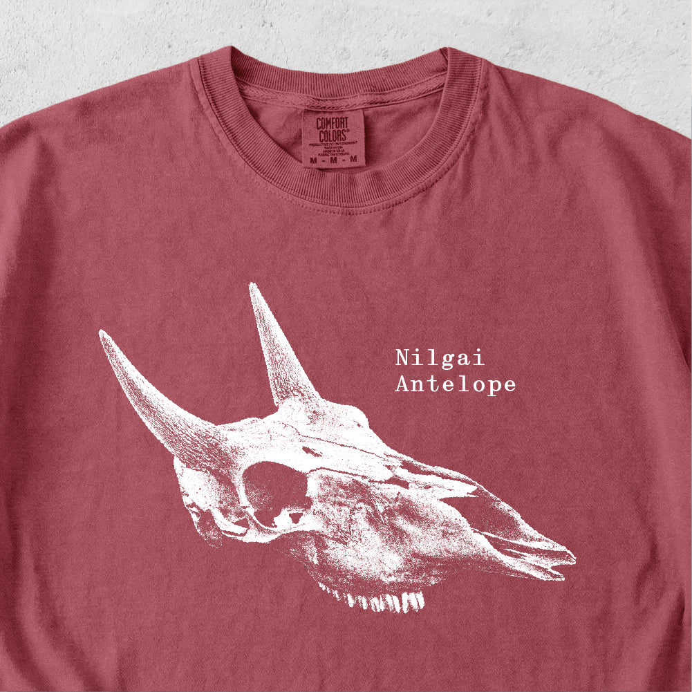 Nilgai Antelope Skull Tshirt