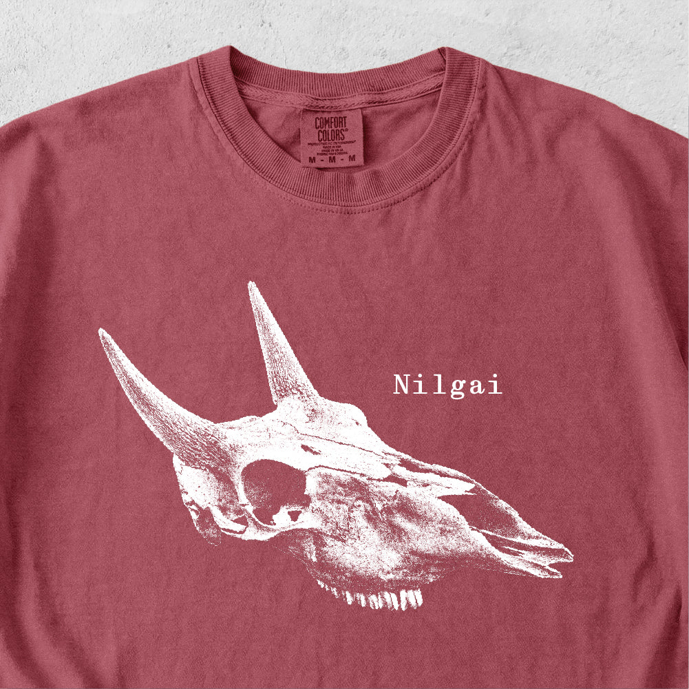 Nilgai Skull Tshirt