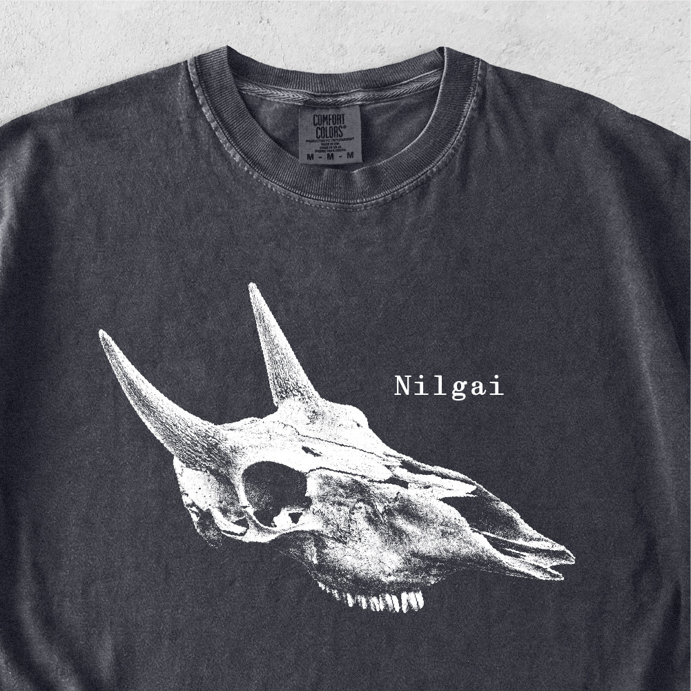 Nilgai Skull Tshirt