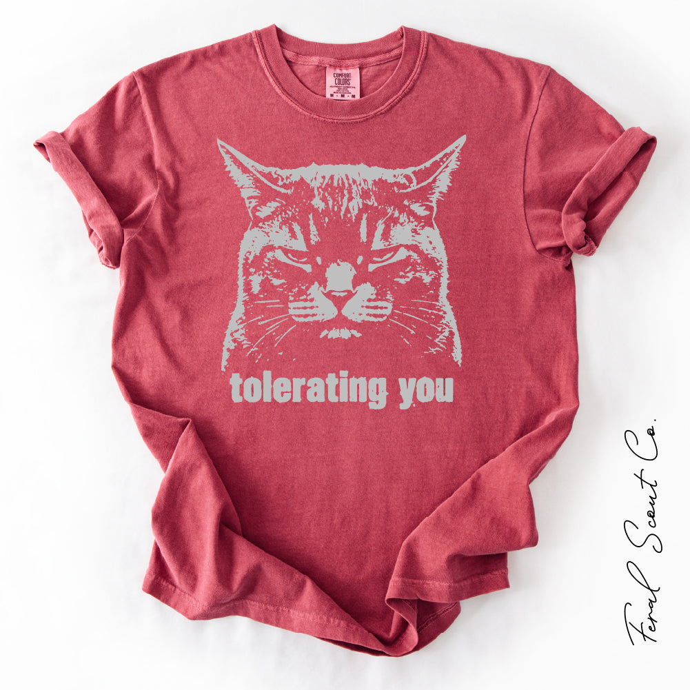 Tolerating You Cat Tshirt