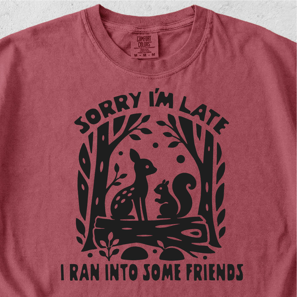Some Friends Tshirt