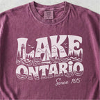 Vintage Lake Ontario Tshirt