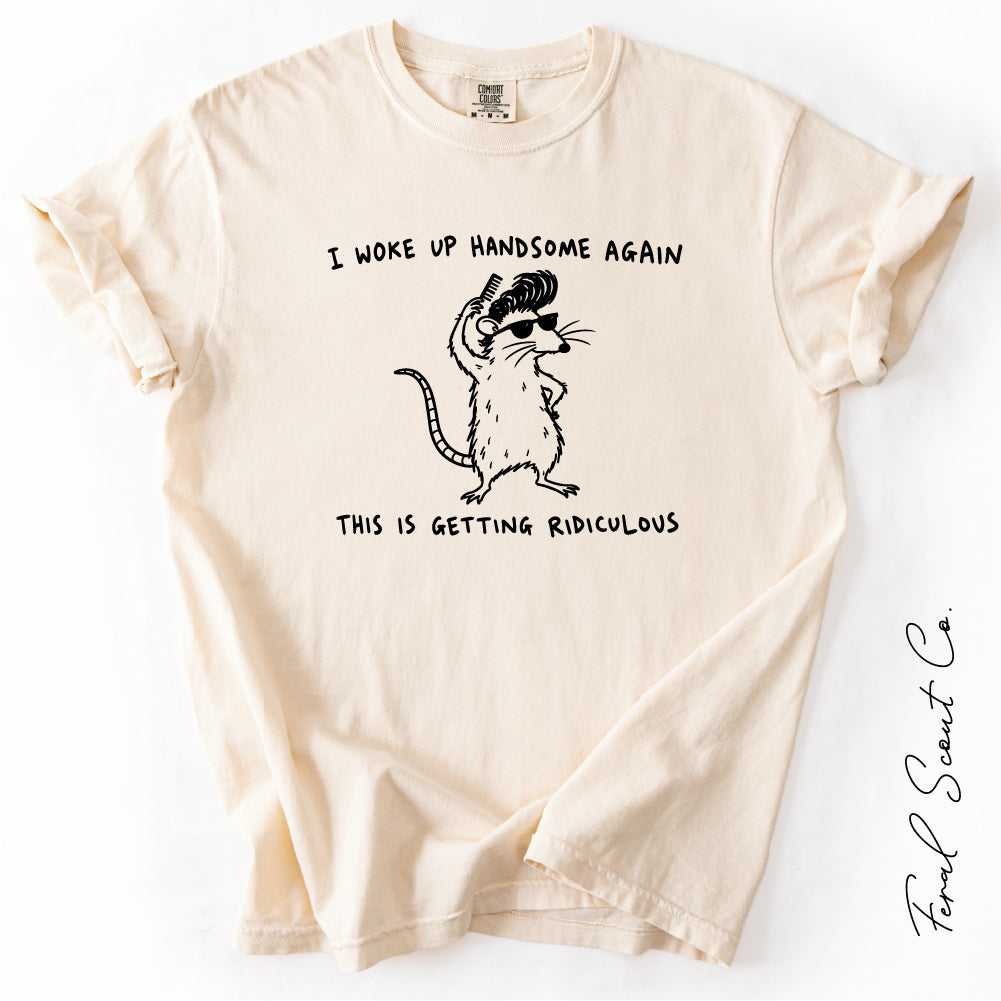 I Woke Up Handsome Tshirt