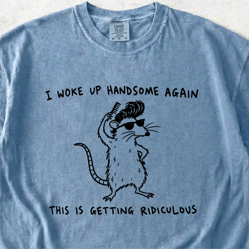 I Woke Up Handsome Tshirt
