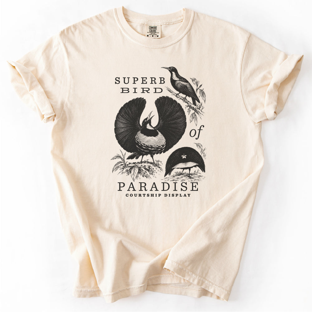Superb Bird of Paradise Tshirt