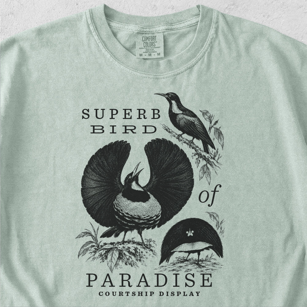 Superb Bird of Paradise Tshirt