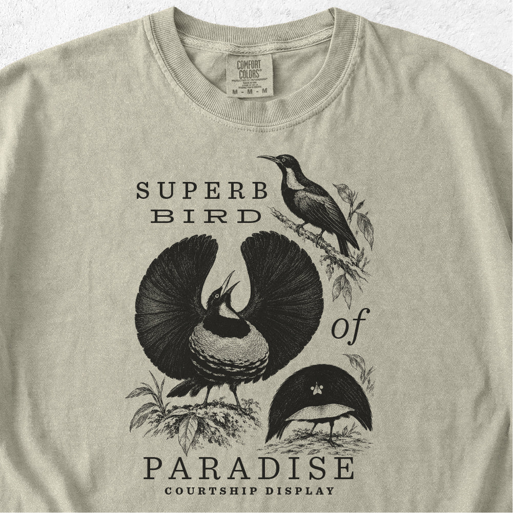 Superb Bird of Paradise Tshirt