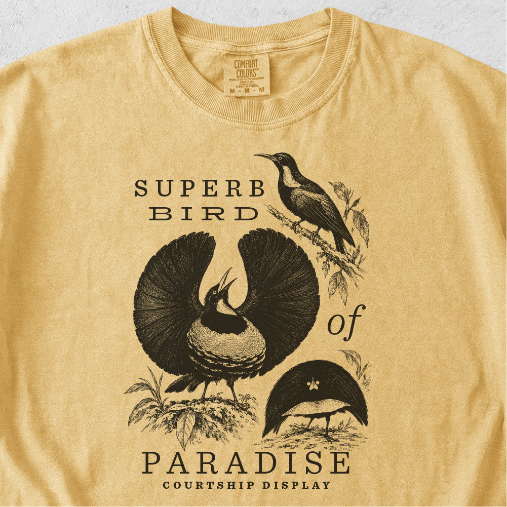 Superb Bird of Paradise Tshirt