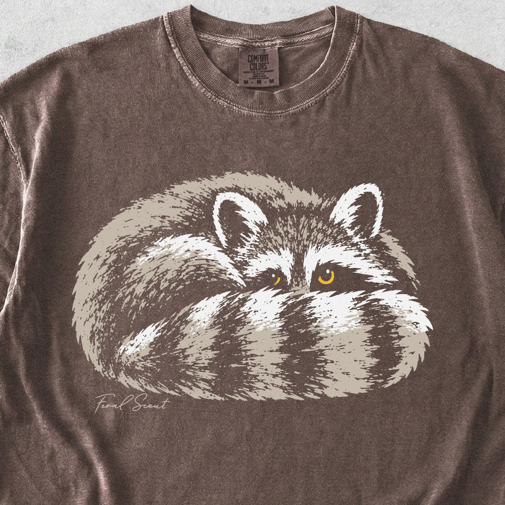Cozy Raccoon Tshirt