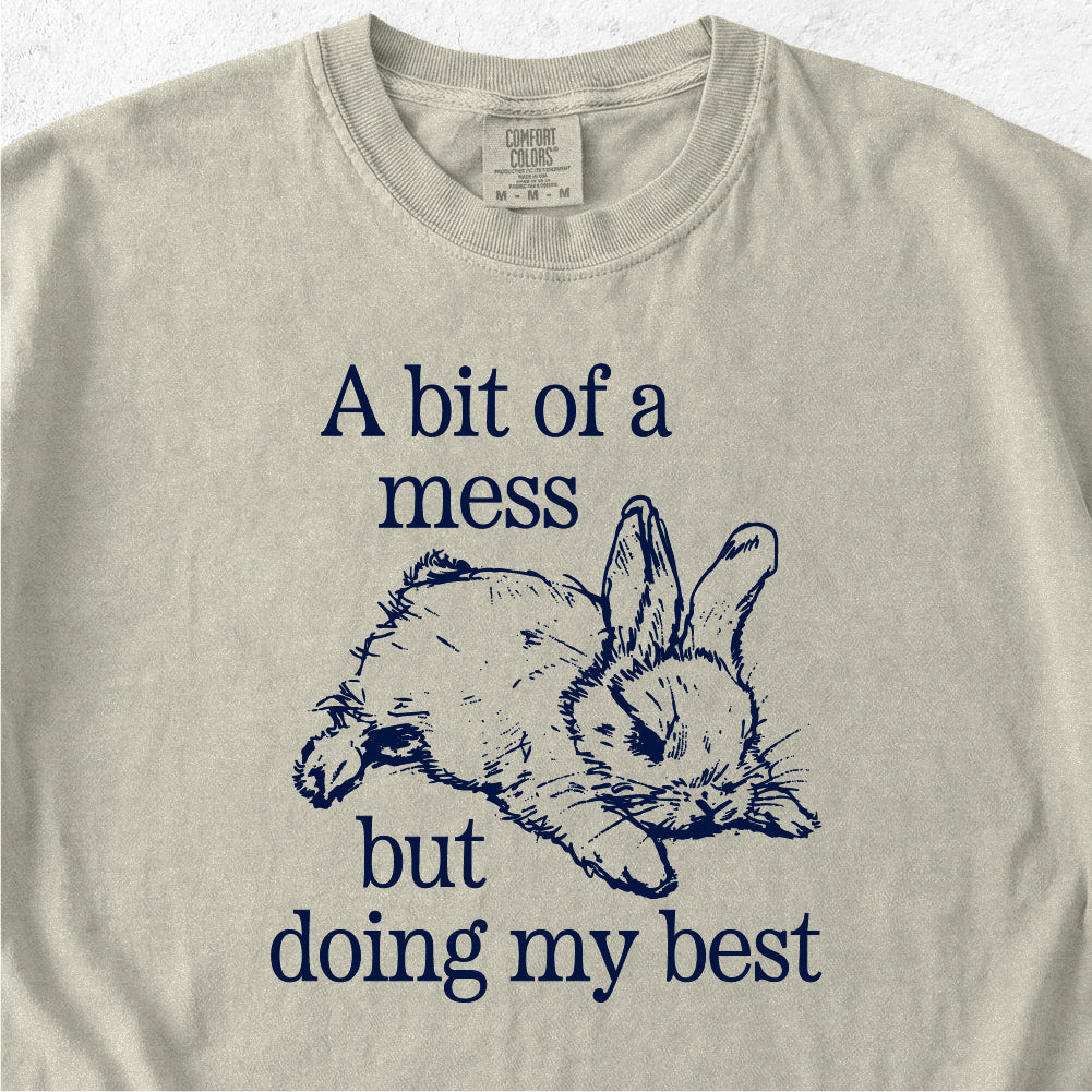 Bit of a Mess But Tshirt