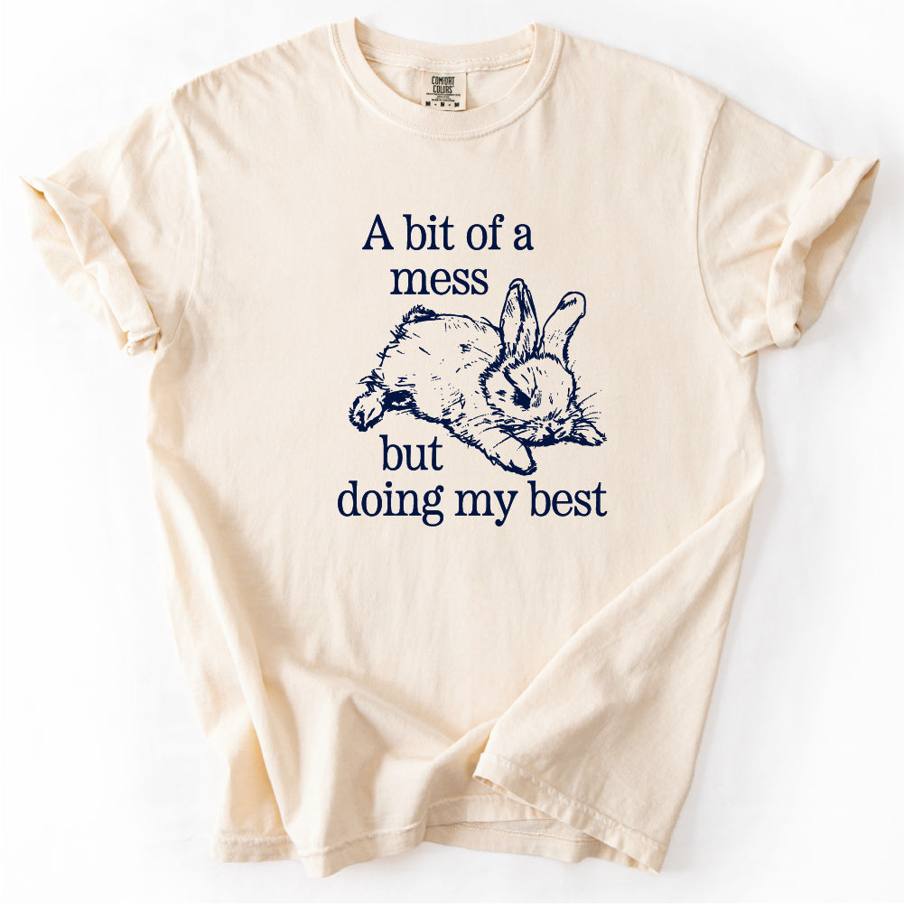 Bit of a Mess But Tshirt