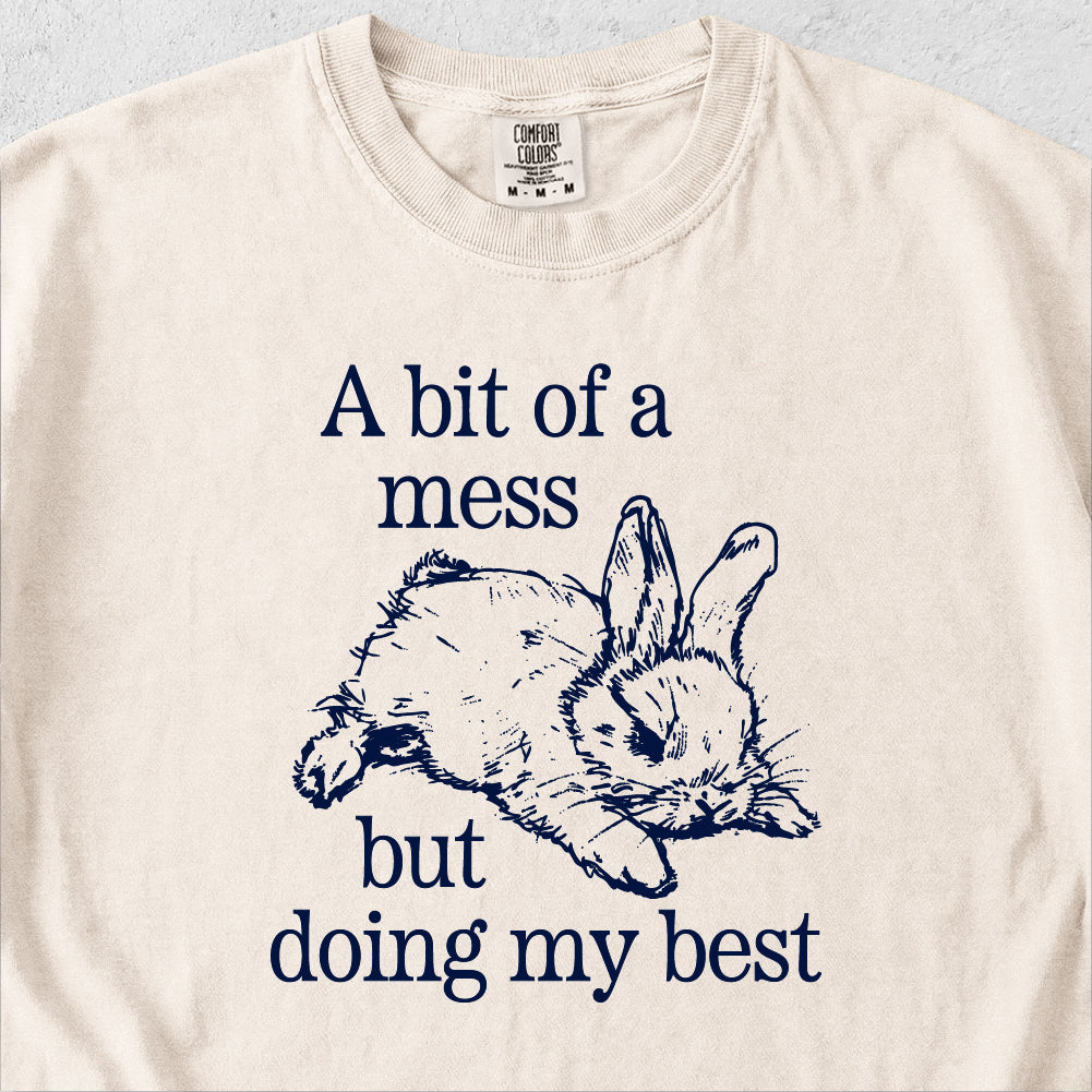 Bit of a Mess But Tshirt