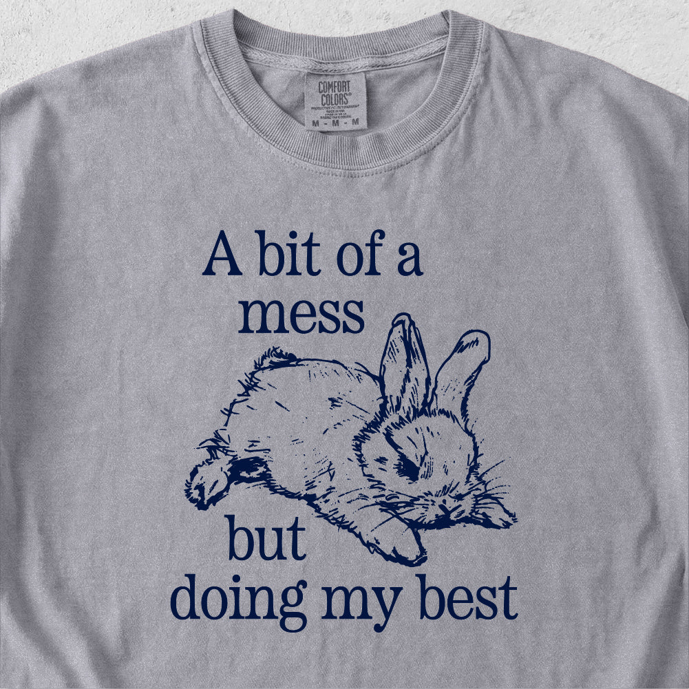 Bit of a Mess But Tshirt