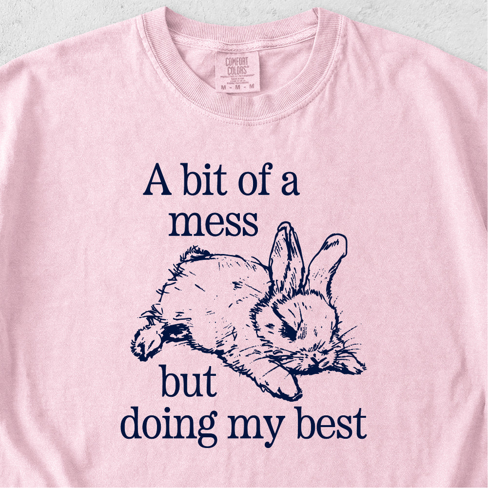 Bit of a Mess But Tshirt