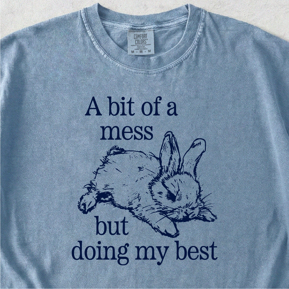 Bit of a Mess But Tshirt