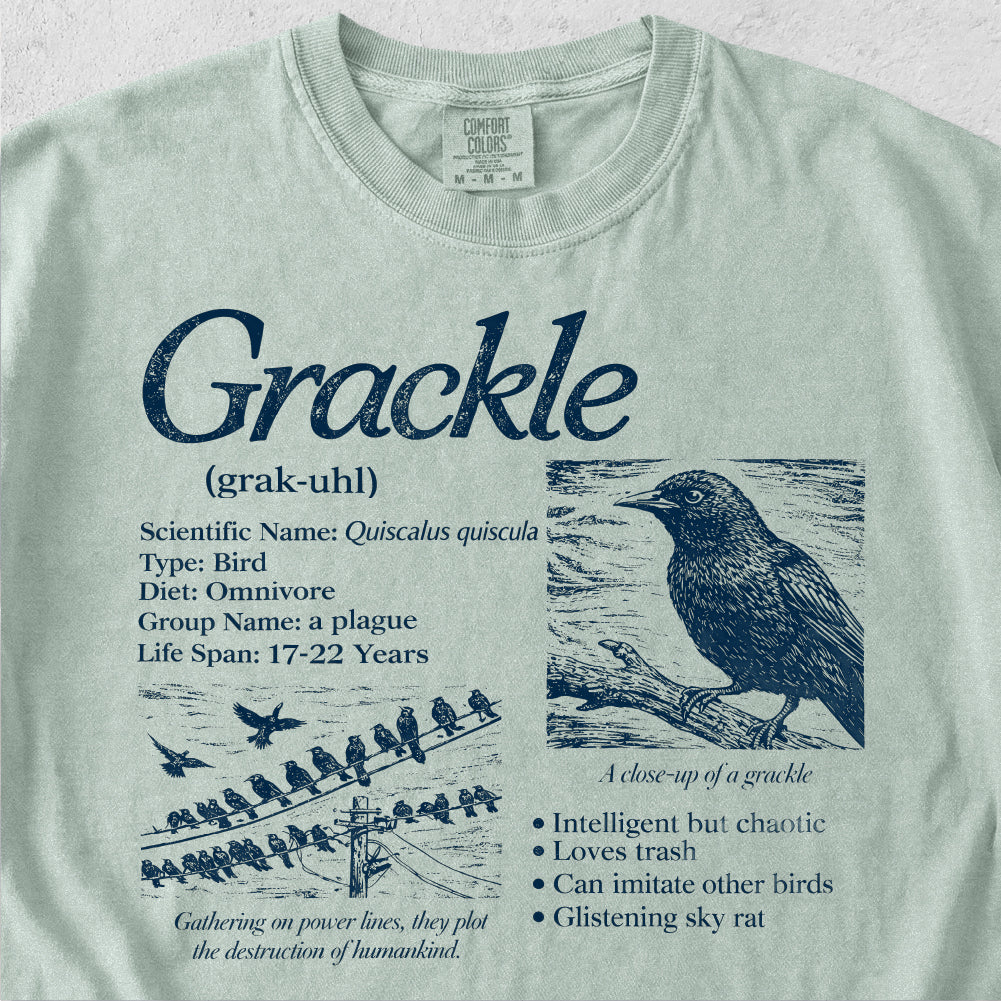Grackle Field Guide Tshirt