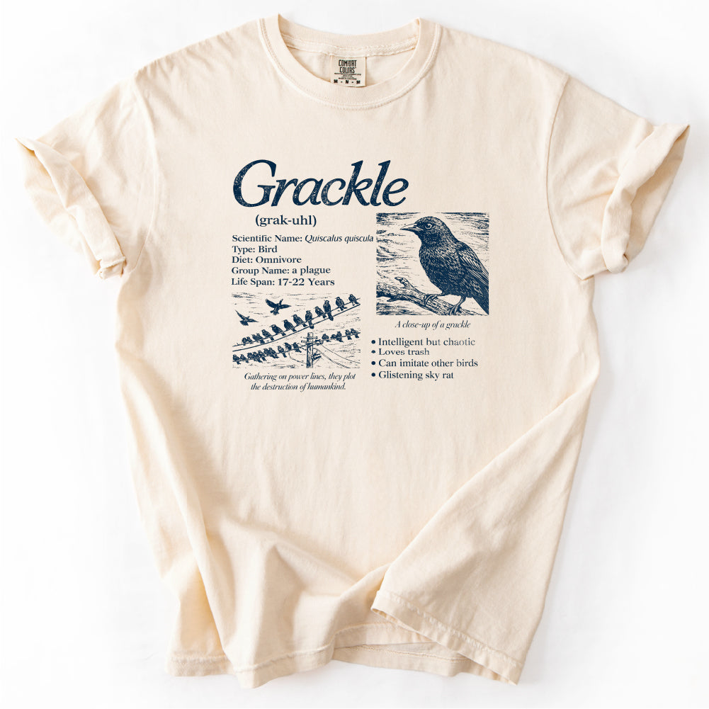 Grackle Field Guide Tshirt