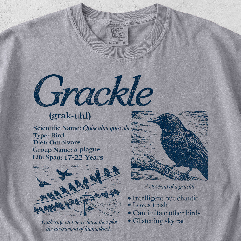 Grackle Field Guide Tshirt