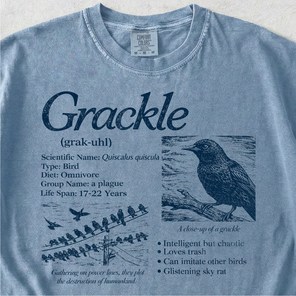 Grackle Field Guide Tshirt