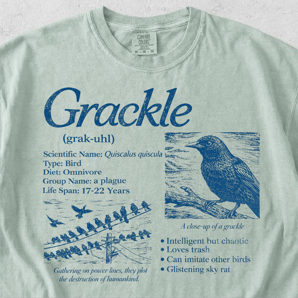 Grackle Encyclopedia Tshirt