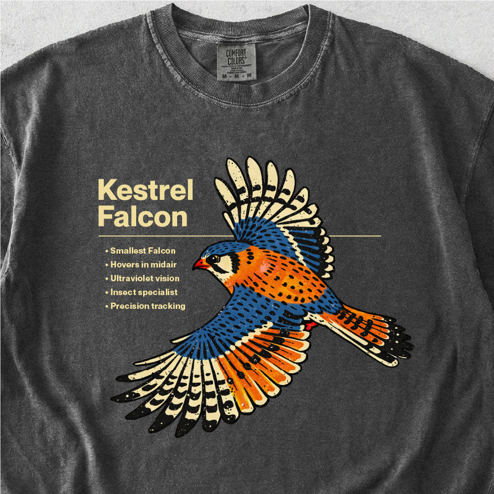 Kestrel Falcon Tshirt