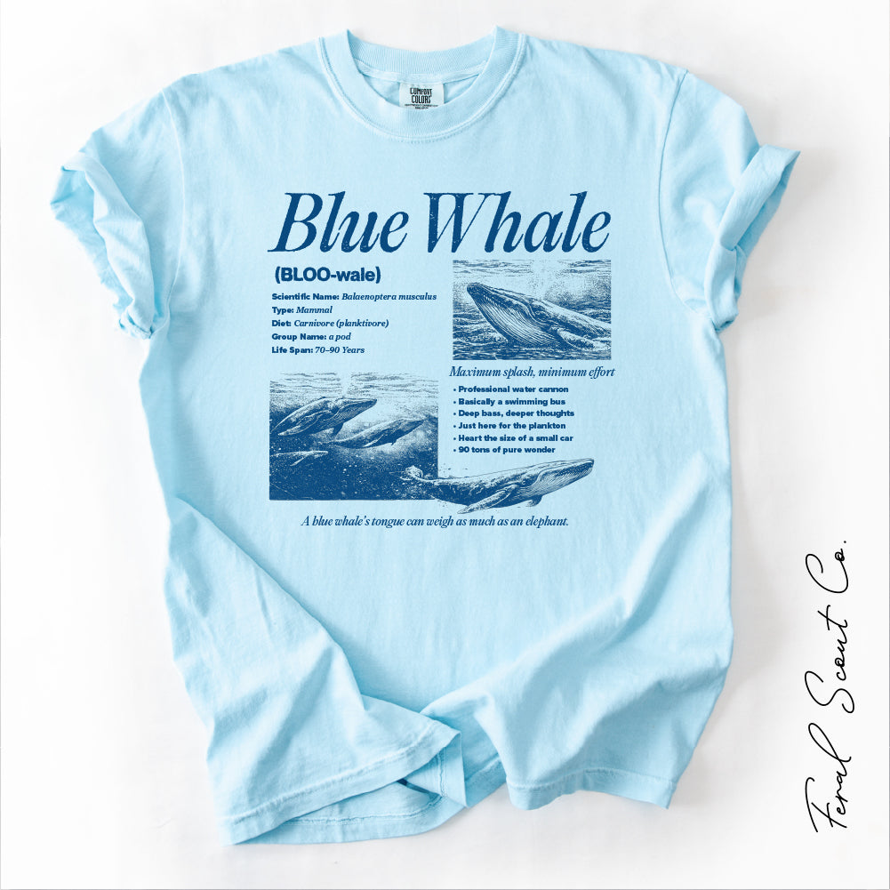 Blue Whale Tshirt