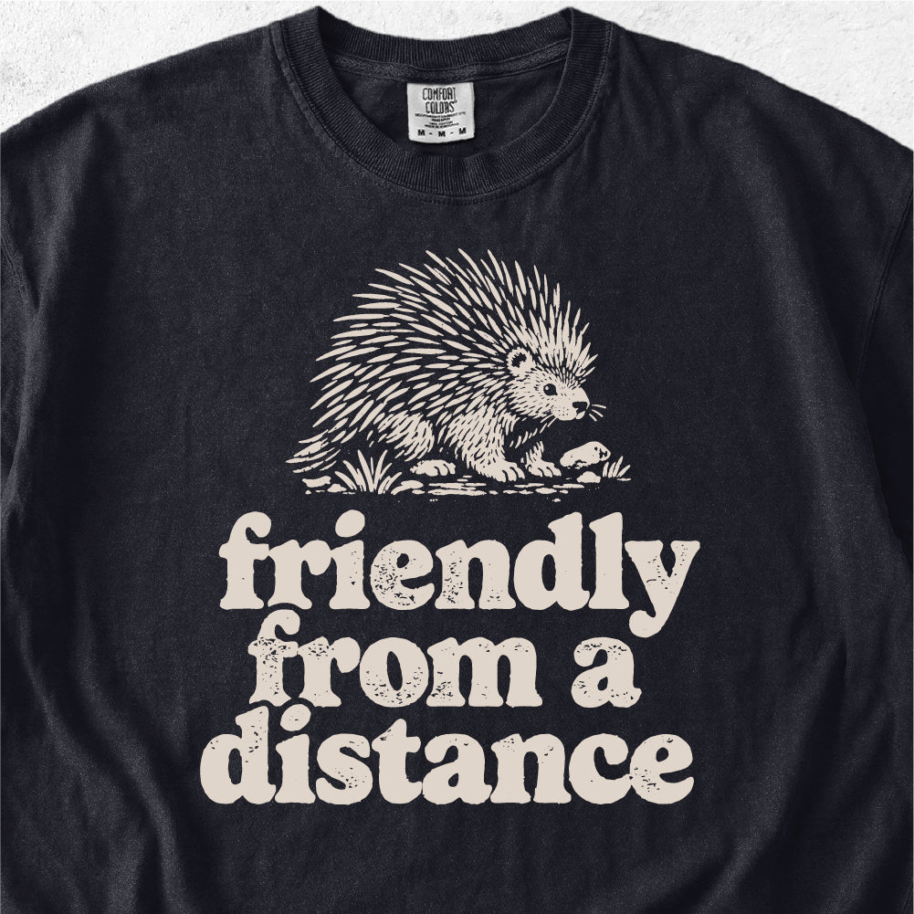 Friendly From a Distance Tshirt