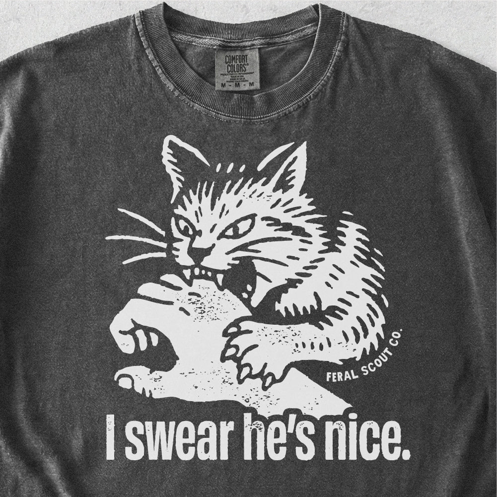 I Swear He's Nice Tshirt