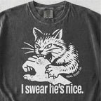 I Swear He's Nice Tshirt