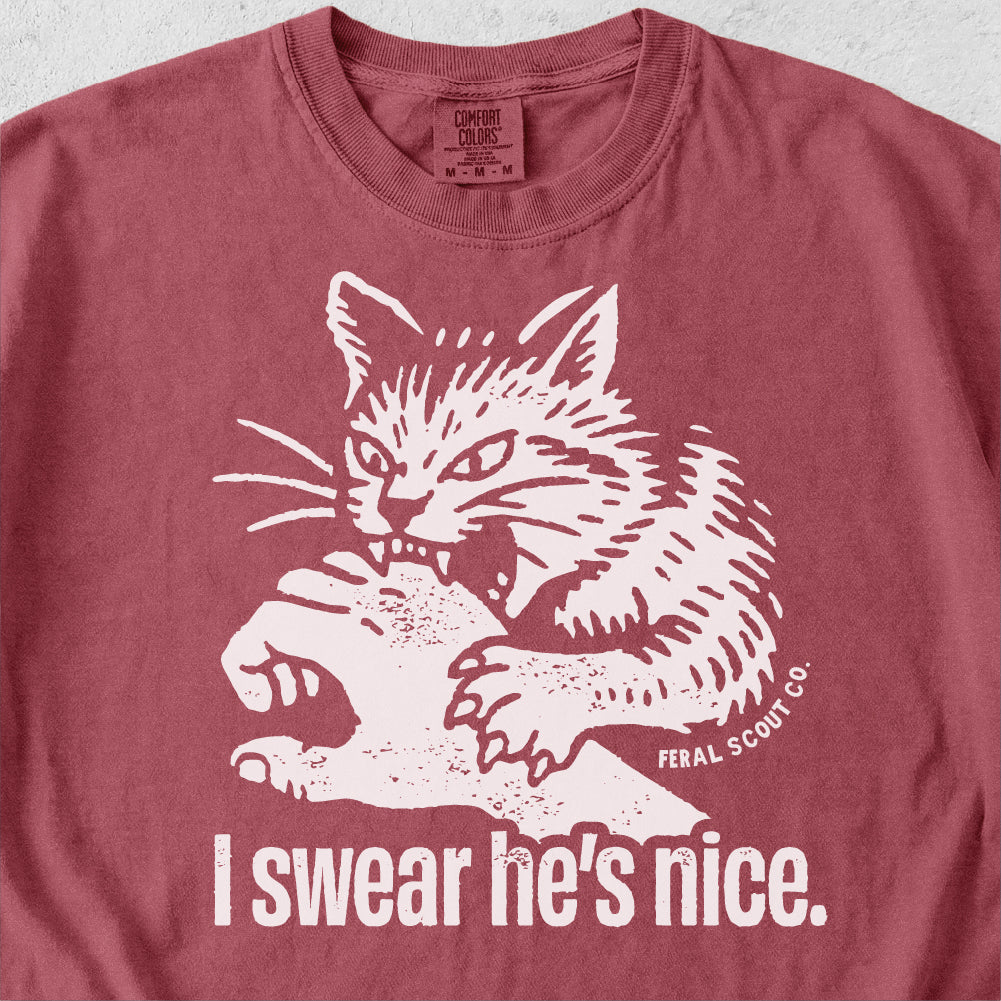 I Swear He's Nice Tshirt