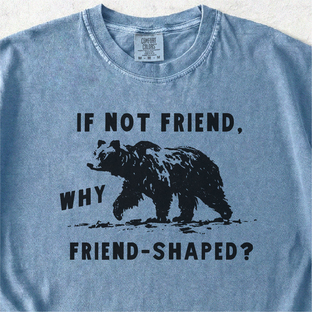 Friend-Shaped Bear Tshirt