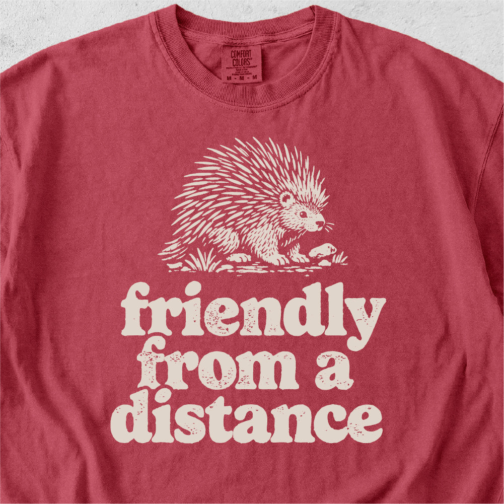 Friendly From a Distance Tshirt