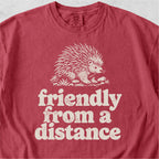 Friendly From a Distance Tshirt