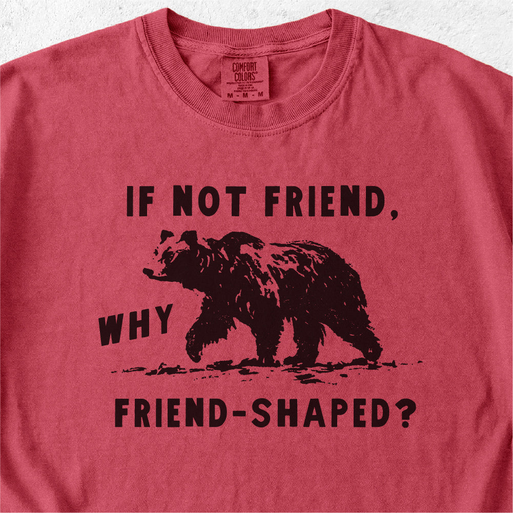 Friend-Shaped Bear Tshirt