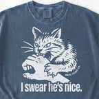 I Swear He's Nice Tshirt