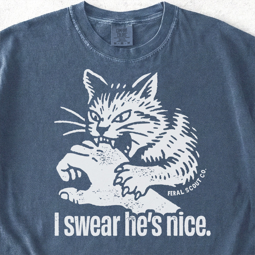 I Swear He's Nice Tshirt