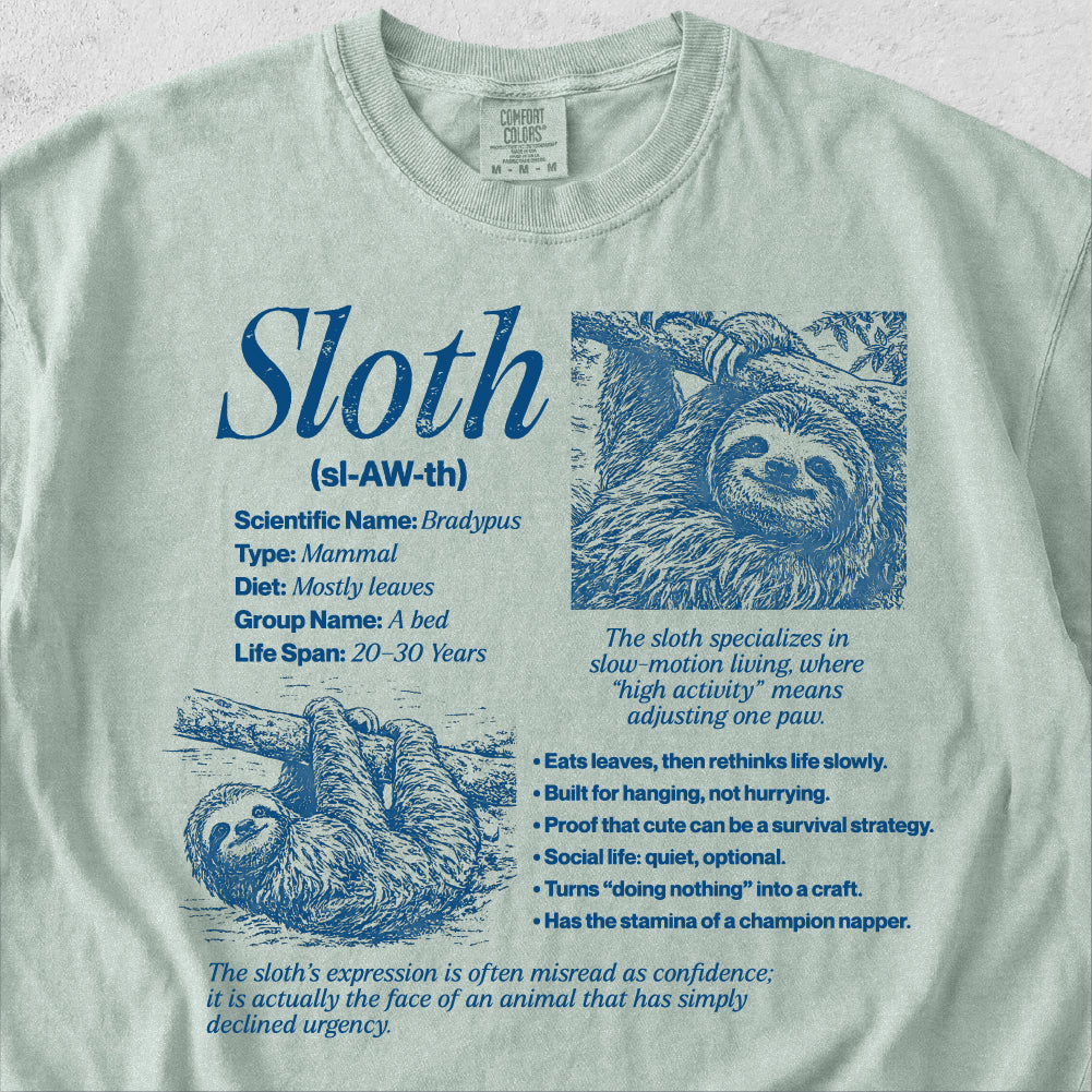 Sloth Definition Tshirt